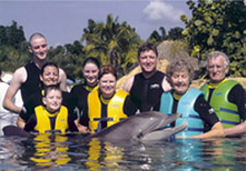 swim-with-dolphins-orlando-florida