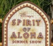 disneys-spirit-of-aloha-dinner-show-seaworld-orlando