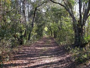 hal-scott-preserve-florida