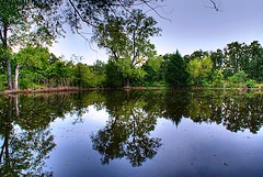 lake-orlando-florida