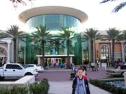 Orlando Florida,The Mall at Millenia,shopping shopper shoppers