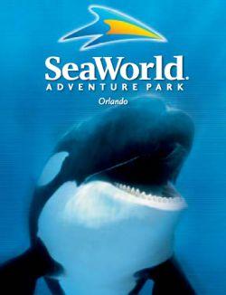 seaworld-adventure-park-orlando-florida