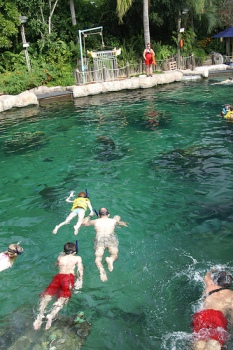 shark-reef-pool-typhoon-lagoon-orlando-florida