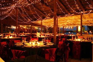 weddings-buena-vista-paradise-cove-orlando