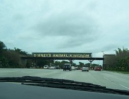 entrance-animal-kingdom-orlando-florida