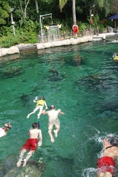 shark-reef-pool-typhoon-lagoon-orlando-florida