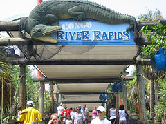 congo-river-rapids-busch-gardens-tampa-florida